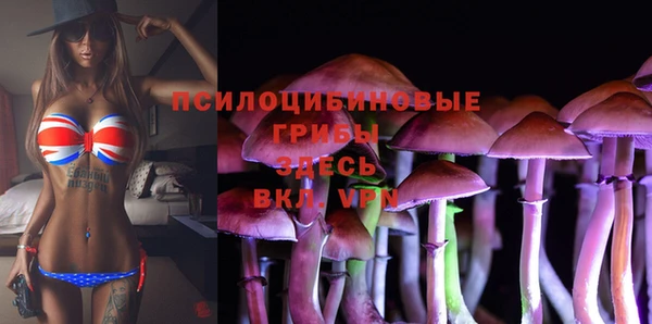 винт Елабуга