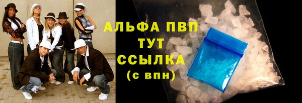 спиды Ельня