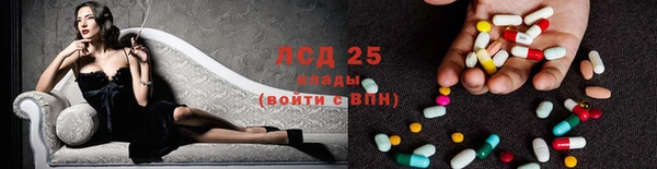 спиды Ельня