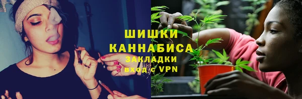 винт Елабуга
