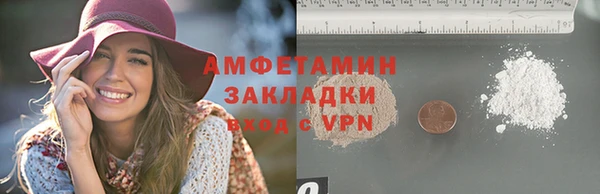 спиды Ельня