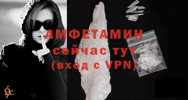 спиды Ельня