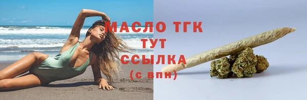 спиды Ельня