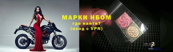 спиды Ельня