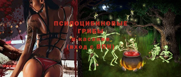 винт Елабуга