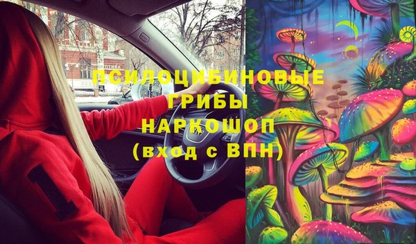 спиды Ельня