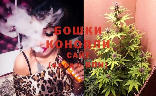 спиды Ельня