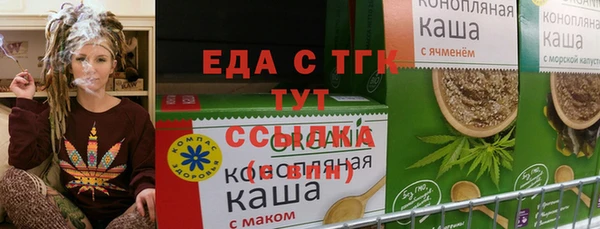 спиды Ельня