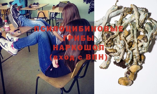 амф Елизово
