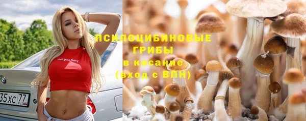 винт Елабуга